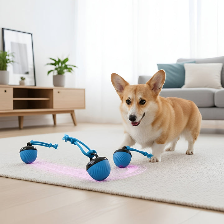 Fun Pet Toys For Happy Active Companions