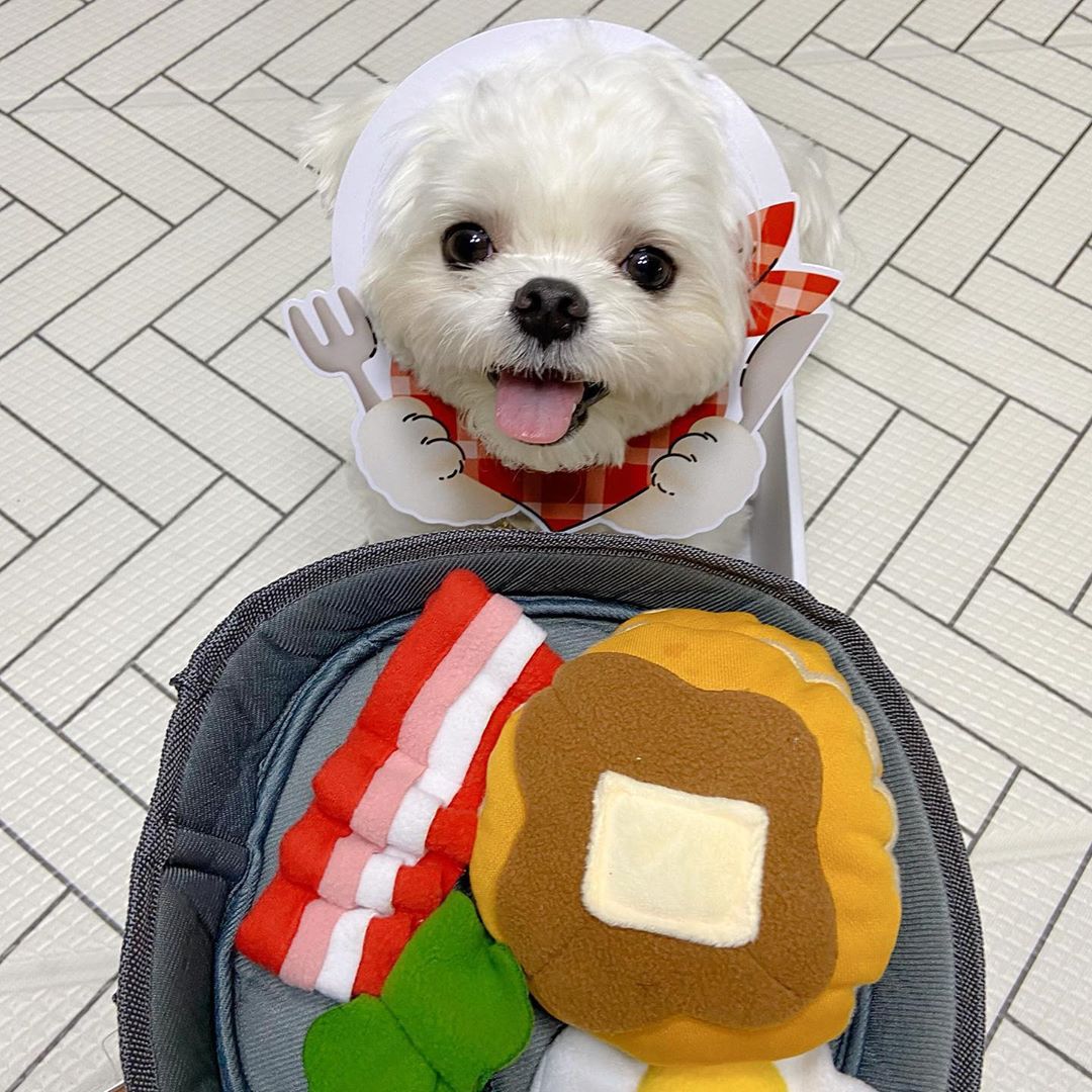 6349b098a14689842377273db4a5bf0e